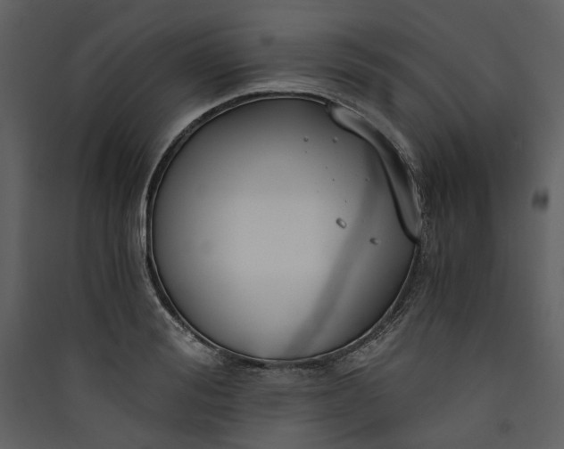 X0000089930988200707131428