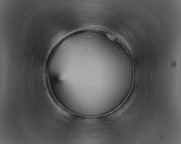 X0000089930989200707131428