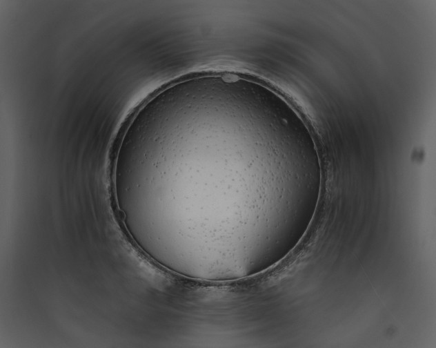 X0000089930990200707131428