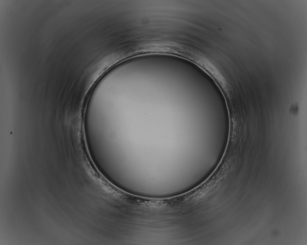 X0000089930994200707131428