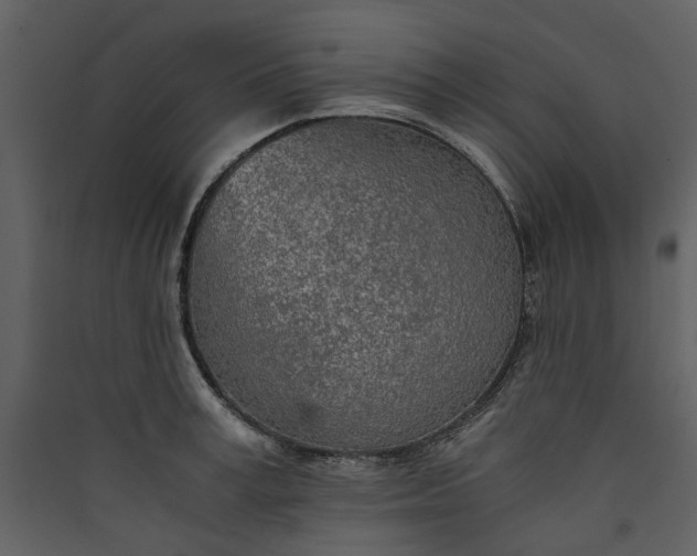 X0000089930995200707131428