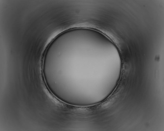 X0000089930998200707131428