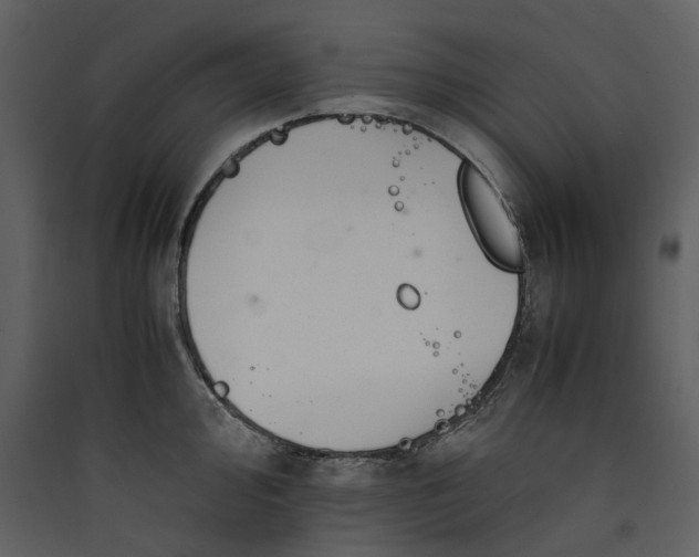 X0000089931000200707131428