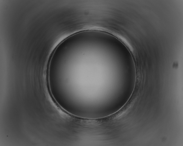 X0000089931007200707131428