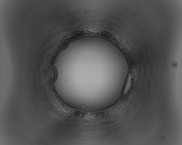 X0000089931009200707131427