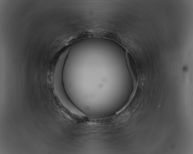 X0000089931010200707131427