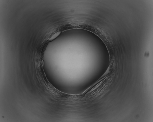 X0000089931012200707131427