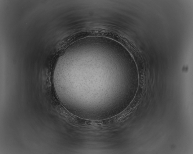 X0000089931013200707131427