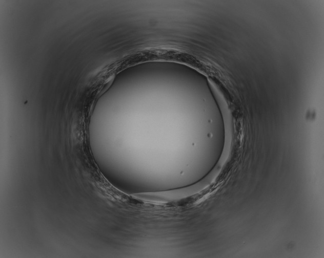 X0000089931014200707131427