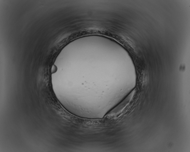 X0000089931015200707131427