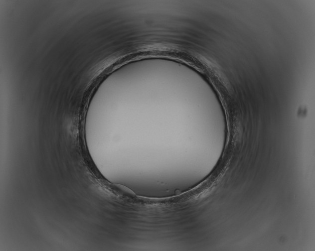 X0000089931017200707131427