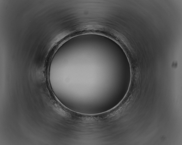 X0000089931018200707131427