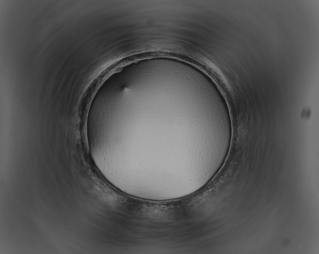 X0000089931019200707131427