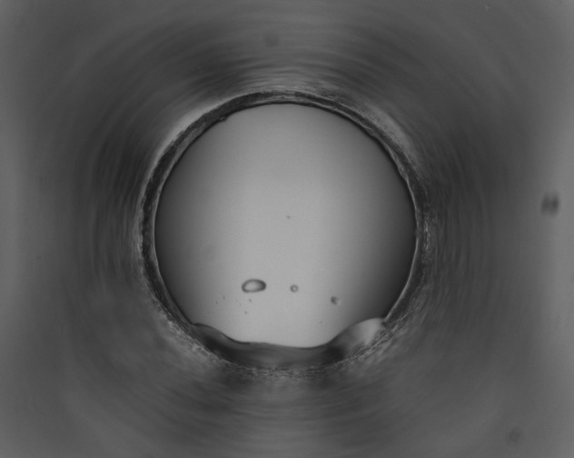 X0000089931020200707131427