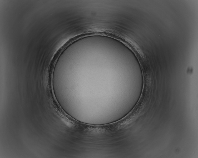 X0000089931023200707131428