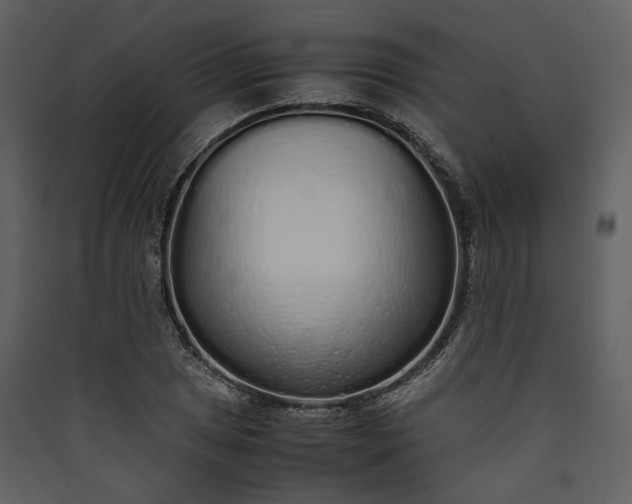 X0000089931025200707131428