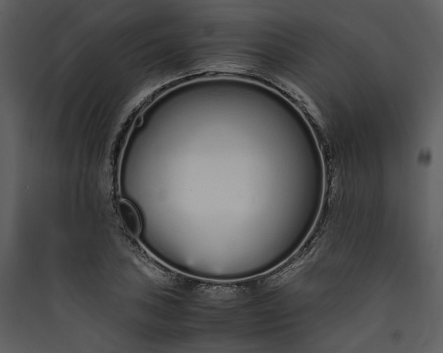 X0000089931027200707131428