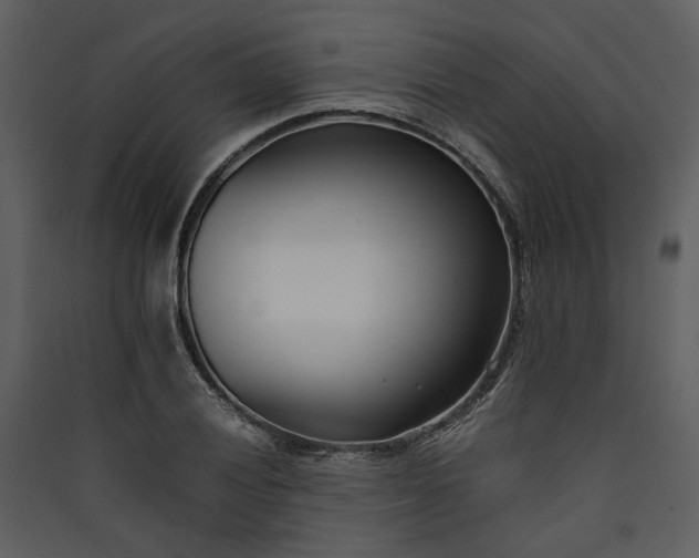 X0000089931028200707131428