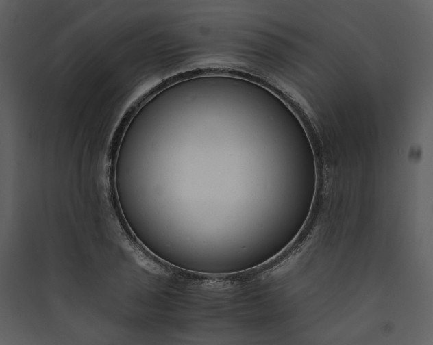 X0000089931029200707131428