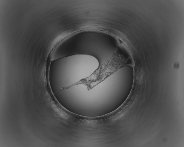 X0000089931030200707131428