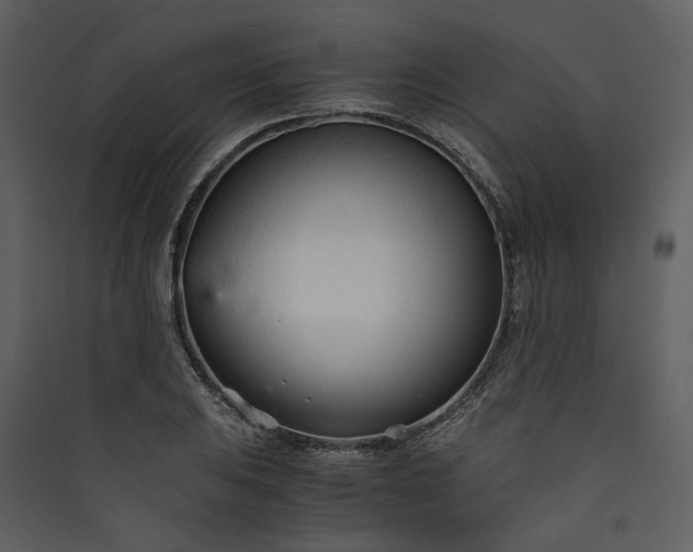 X0000089931031200707131428