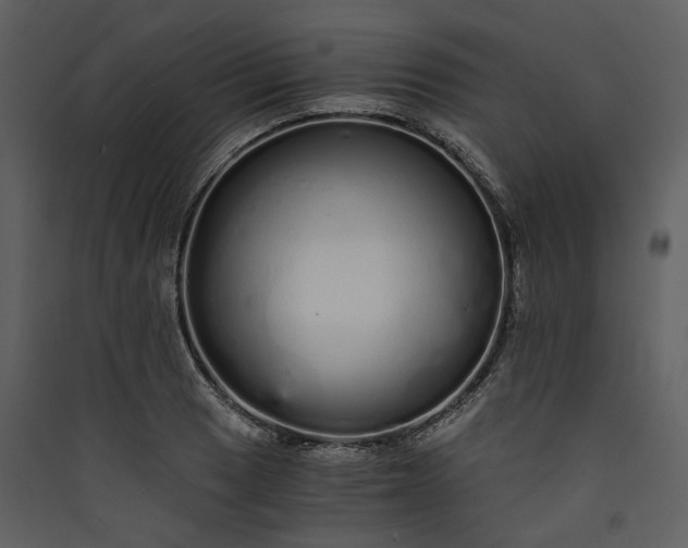 X0000089931033200707131428