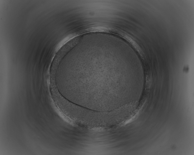 X0000089931034200707131428