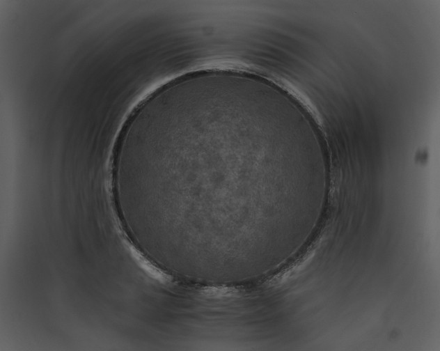 X0000089931037200707131428