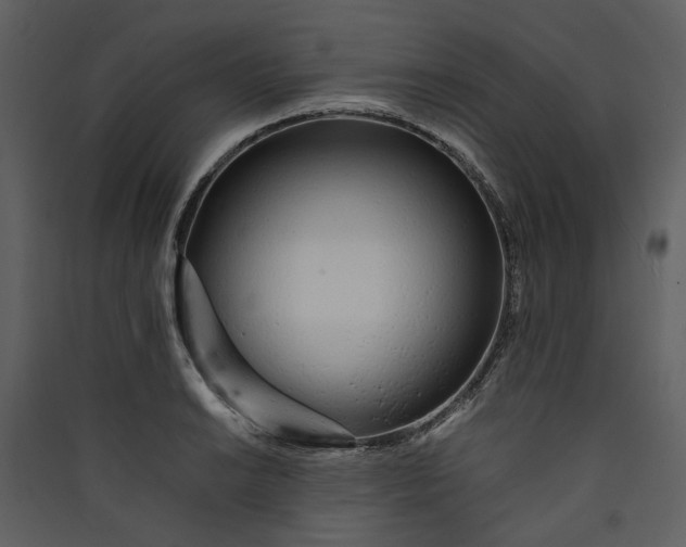 X0000089931038200707131428