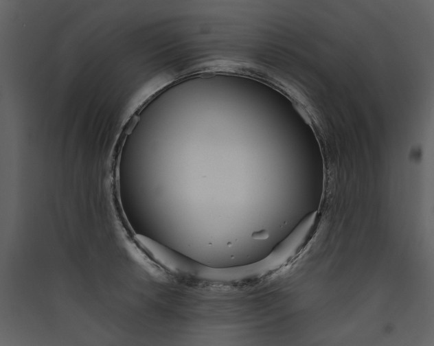 X0000089931042200707131428