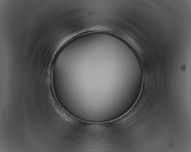 X0000089931044200707131428