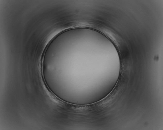 X0000089931047200707131428