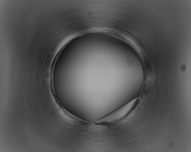 X0000089931050200707131428