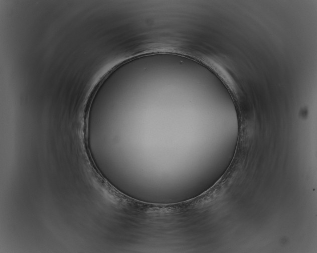 X0000089931051200707131428