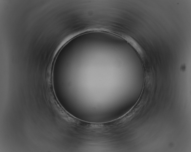 X0000089931052200707131428