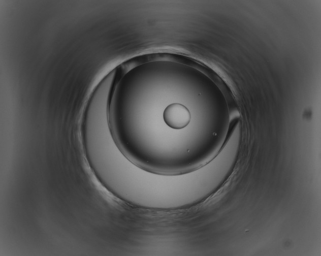 X0000089931054200707131428