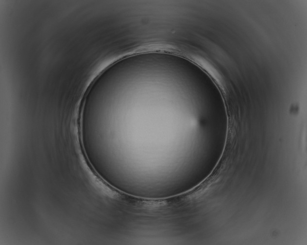 X0000089931055200707131428