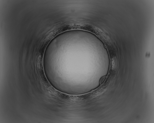 X0000089931059200707131427