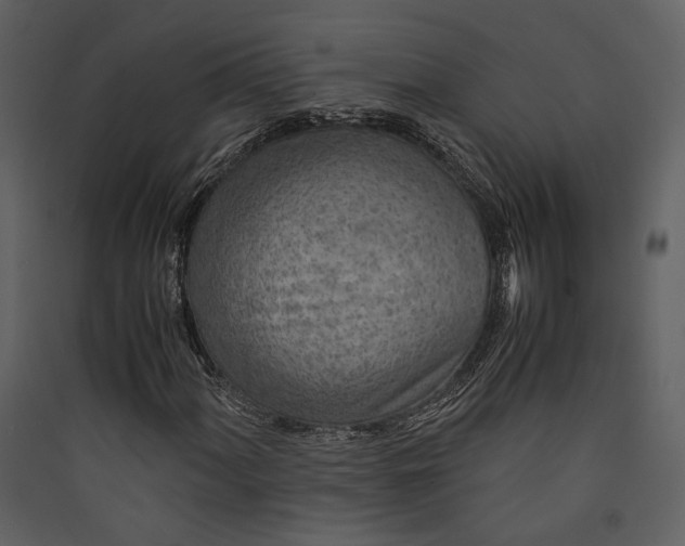 X0000089931060200707131427