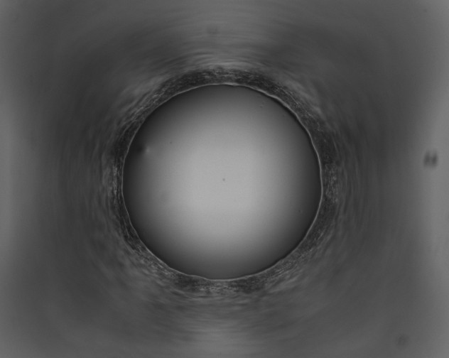 X0000089931061200707131427