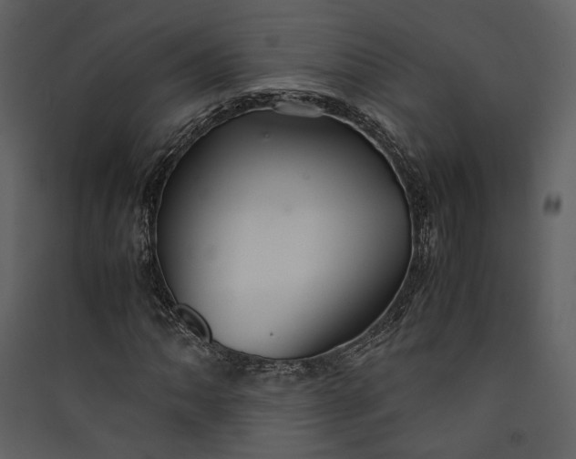 X0000089931062200707131427