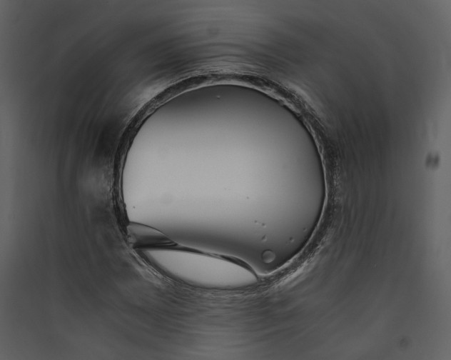 X0000089931065200707131427