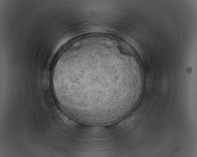 X0000089931067200707131427