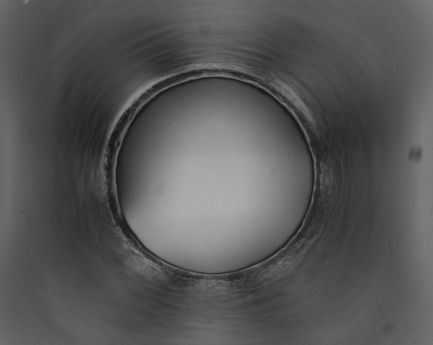 X0000089931068200707131427