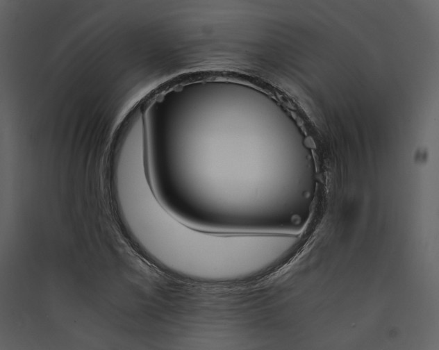 X0000089931069200707131427