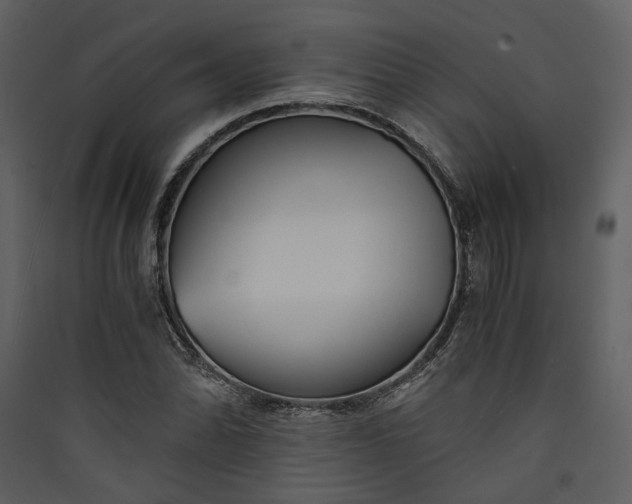 X0000089931070200707131427