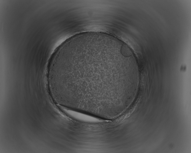 X0000089931071200707131427