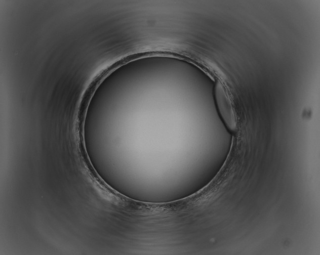 X0000089931072200707131427