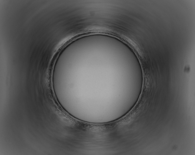 X0000089931074200707131427