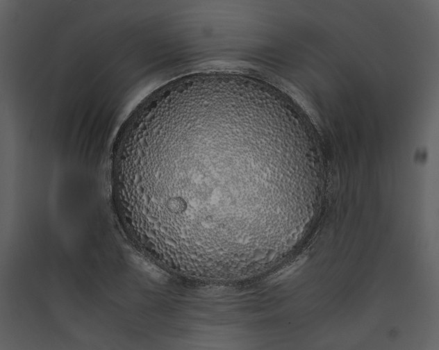 X0000089931075200707131427